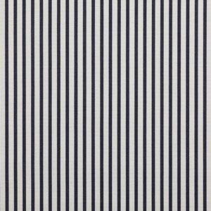 A close-up view of a fabric pattern featuring a series of vertical stripes, alternating between deep navy blue and white. The clean, precise lines create a striking visual contrast.