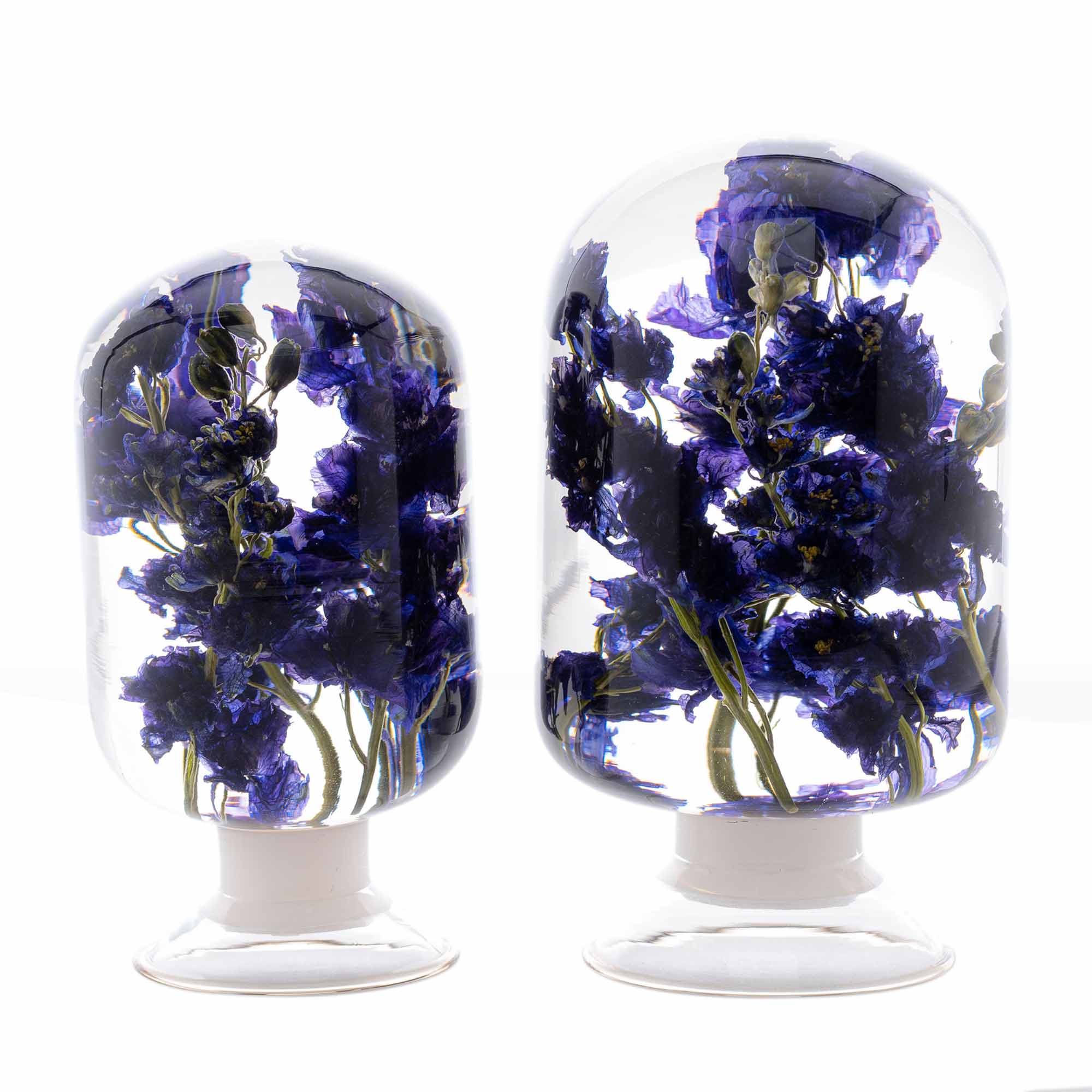 Large%20Pieces%20of%20Time%20-%20Blue%20Delphinium image 7