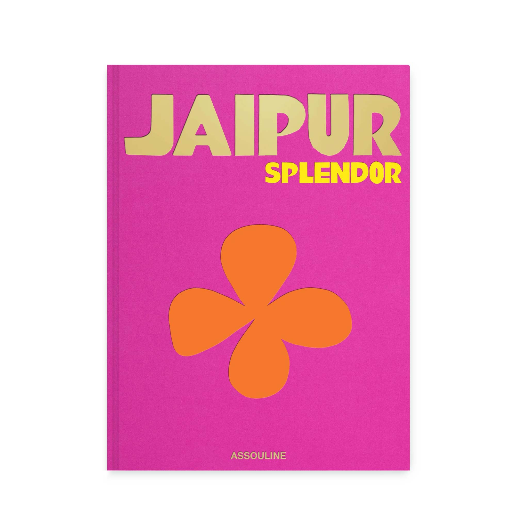 Jaipur Splendor image 1