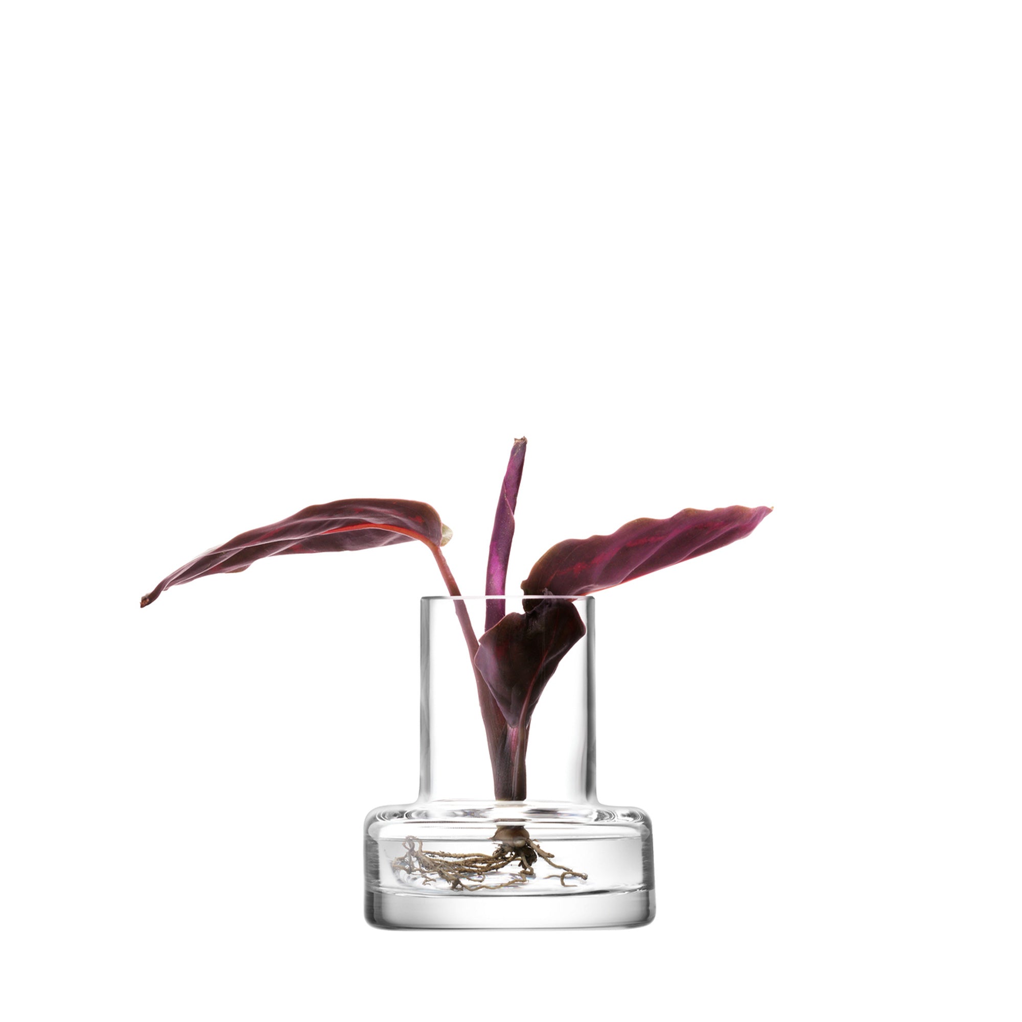 Metropole Five Mini Vase Set image 2