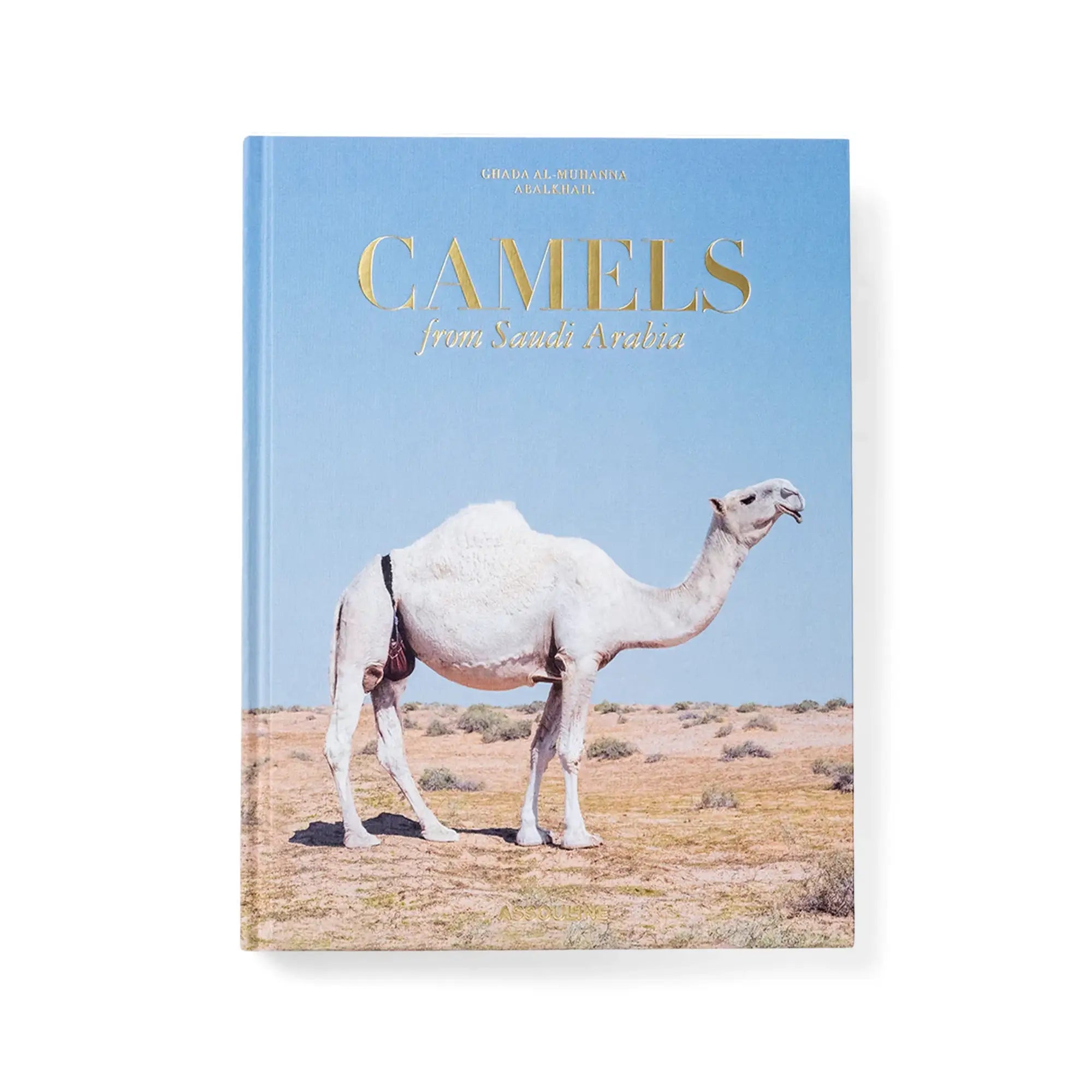 Camels From Saudi Arabia (Classic)