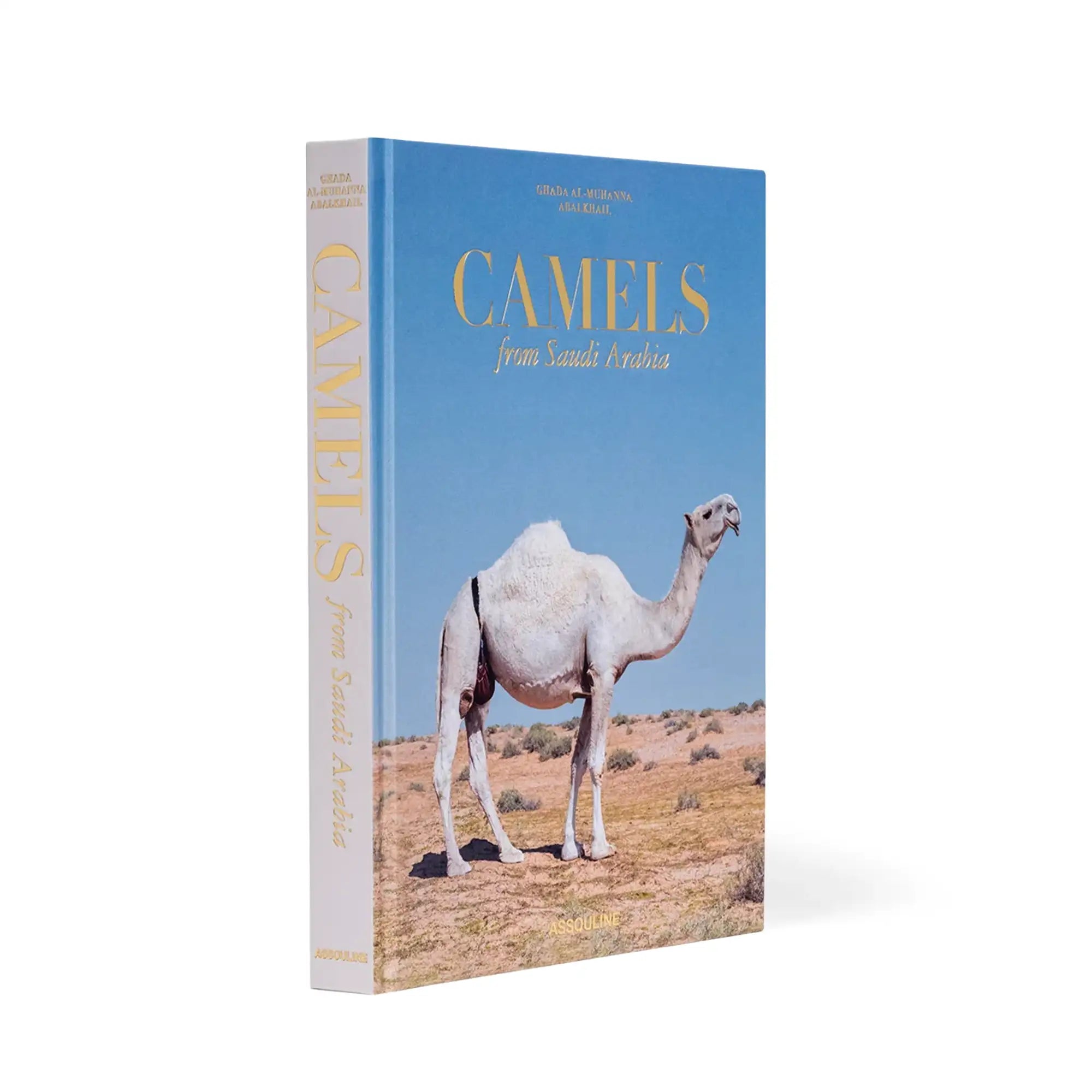 Camels From Saudi Arabia (Classic)